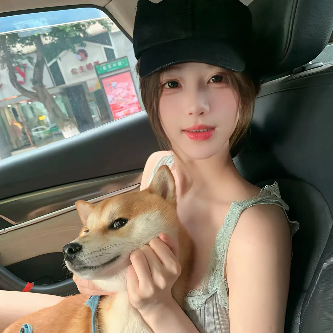 凡丹戈马戏团
